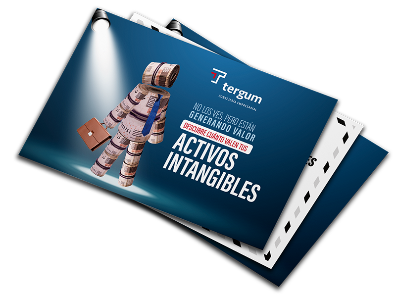 Flyer Activos intangibles - TERGUM Paquete c/100 piezas