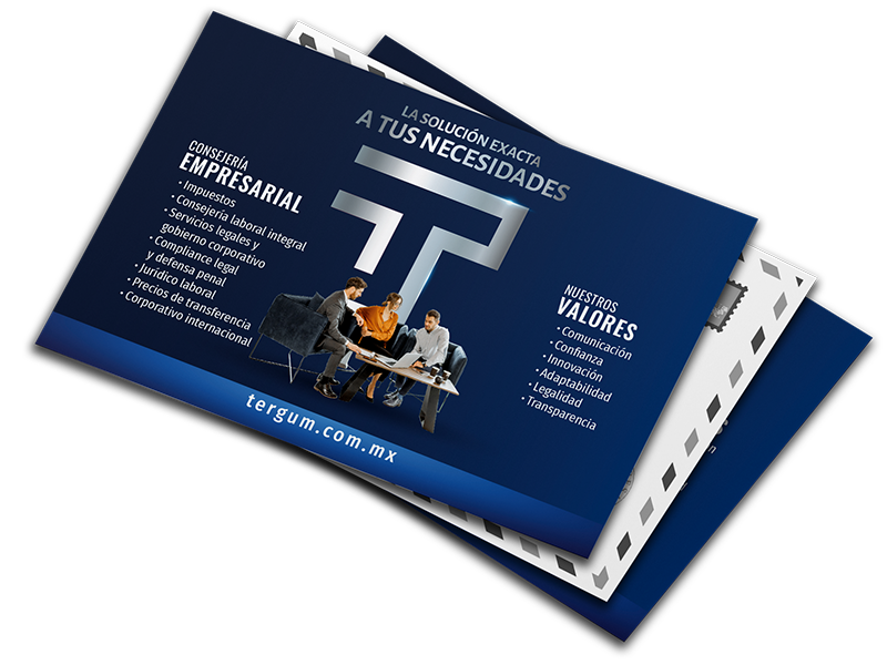 Flyer Soluciones V2- TERGUM Paquete c/100 piezas